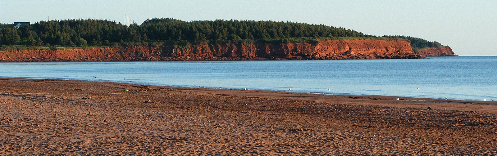 PEI coastline landscape